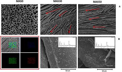 In vivo Regeneration of Mineralized Bone Tissue in Anisotropic Biomimetic Sponges